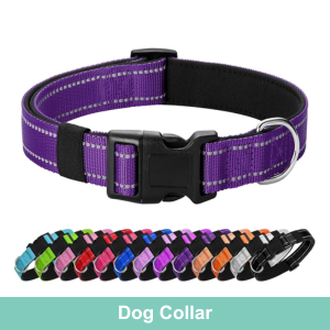 Dog Collar