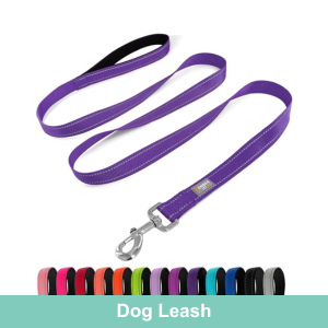 Leash