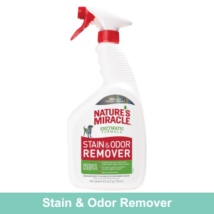 Stain and Odor Remover